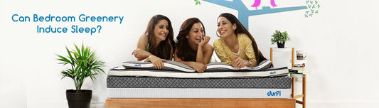 Can Bedroom Greenery Induce Sleep? - Durfi Retail Pvt. Ltd.